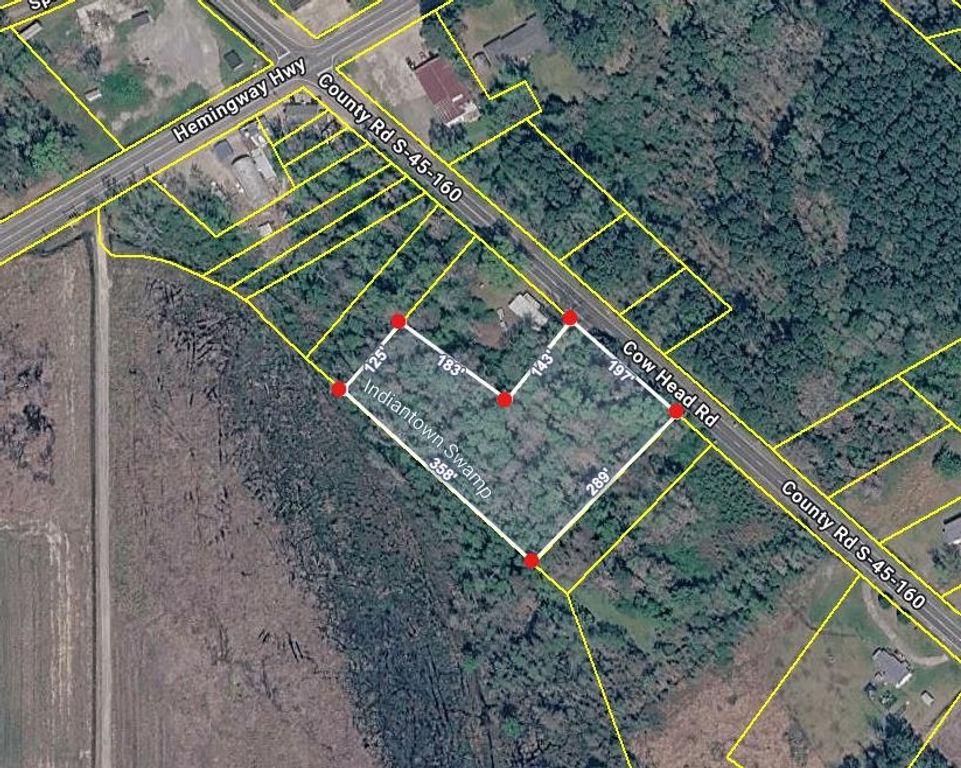 TBD Cow Head Rd., Hemingway, SC 29554 — photo 2
