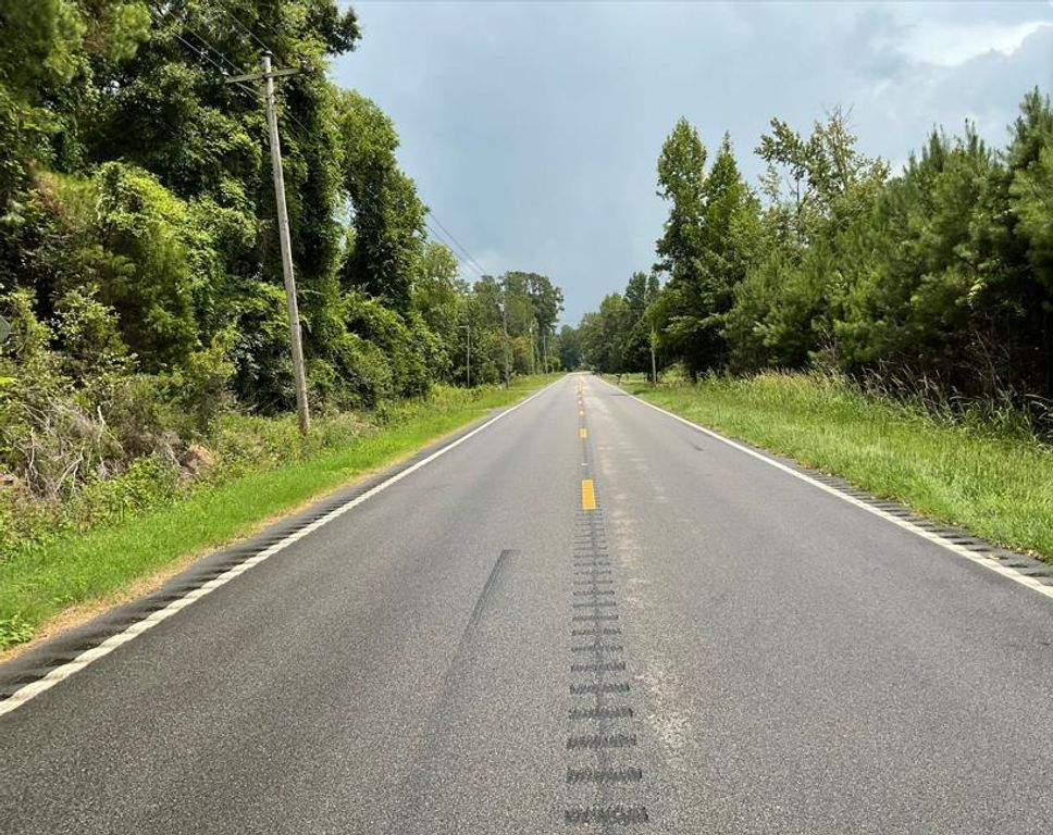 TBD Cow Head Rd., Hemingway, SC 29554 — photo 3
