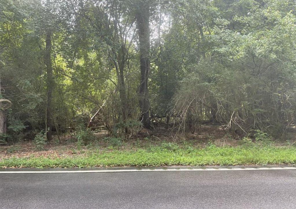 TBD Cow Head Rd., Hemingway, SC 29554 — photo 4