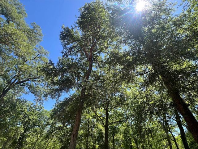 4901 County Road 216, Hungerford, TX 77435