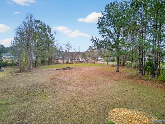 Lot 34 Laura Lane, Southside, AL 35907