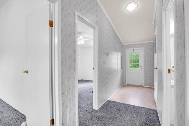 145 Cedar Shade LN, Bastrop, TX 78602