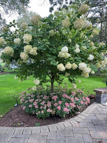 3363 Blasser Drive, Lake Orion, MI 48359