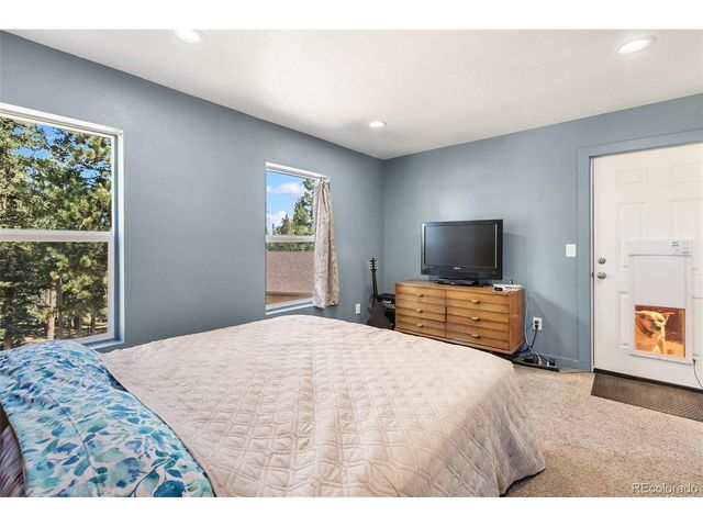 1625 N Mountain Estates Rd, Florissant, CO 80816