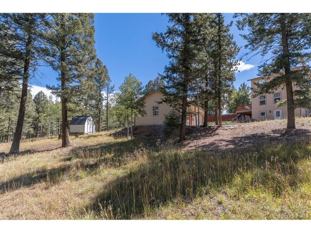 1625 N Mountain Estates Rd, Florissant, CO 80816