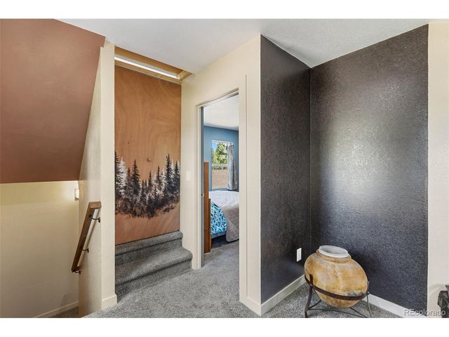 1625 N Mountain Estates Rd, Florissant, CO 80816