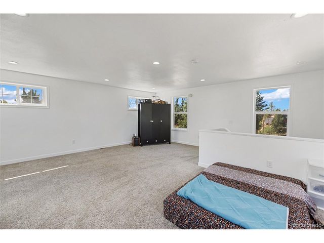 1625 N Mountain Estates Rd, Florissant, CO 80816