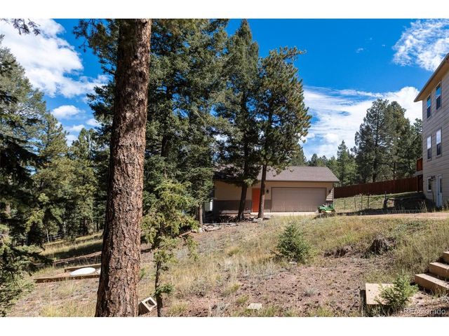 1625 N Mountain Estates Rd, Florissant, CO 80816