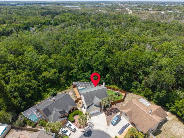 1802 WOOD STOCK CIRCLE, Tarpon Springs, FL 34689