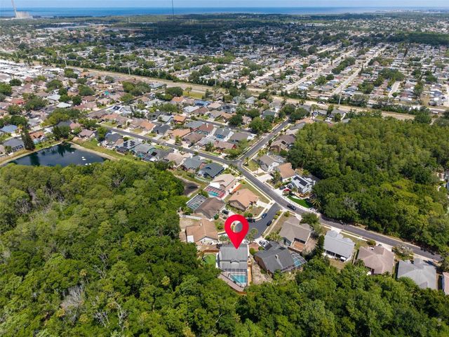 1802 WOOD STOCK CIRCLE, Tarpon Springs, FL 34689