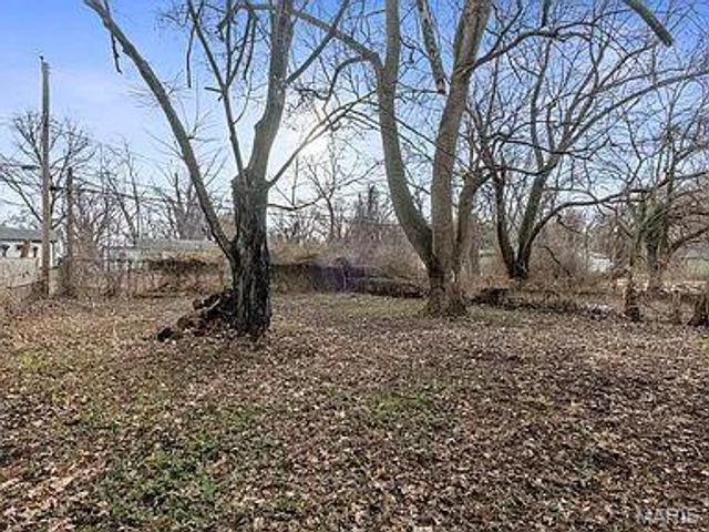 10265 Lord Drive, St Louis, MO 63136