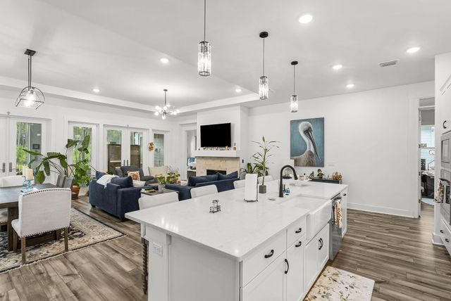 119 Anastasia Circle, Inlet Beach, FL 32461