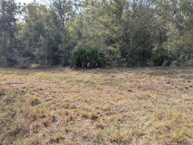 4508 SE WHEAT AVENUE, Arcadia, FL 34266