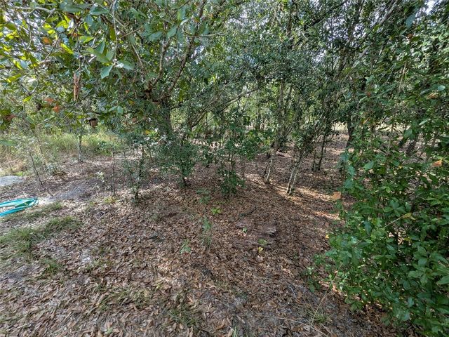 4508 SE WHEAT AVENUE, Arcadia, FL 34266