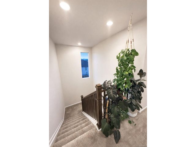 9803 Ceylon St, Commerce City, CO 80022