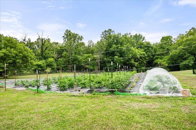 6985 Old Mountain Ash Pike, Williamsburg, KY 40769