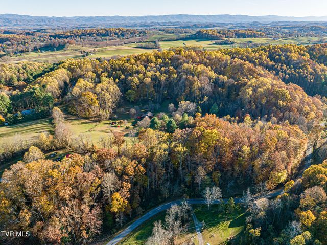 29616 Tobias Drive, Meadowview, VA 24361