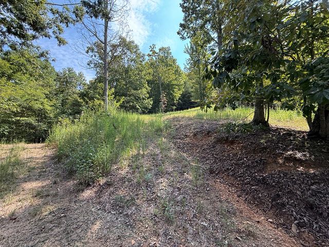 0 Madison Lane, Murphy, NC 28906
