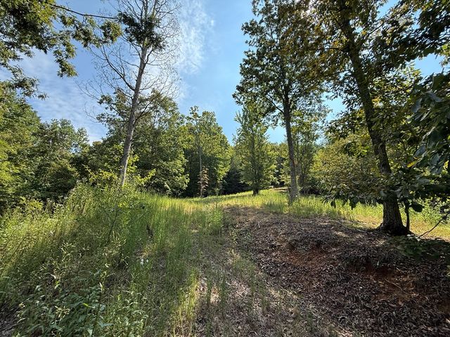 0 Madison Lane, Murphy, NC 28906