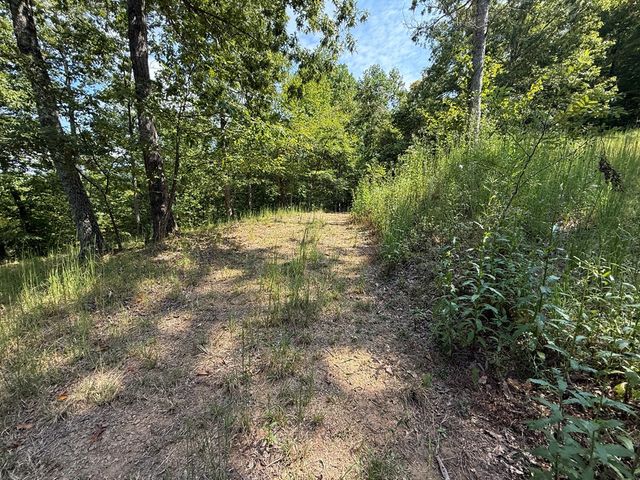 0 Madison Lane, Murphy, NC 28906