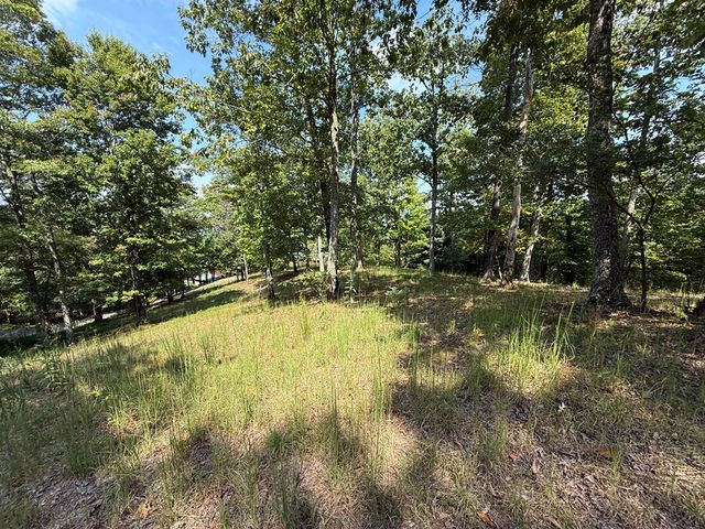 0 Madison Lane, Murphy, NC 28906