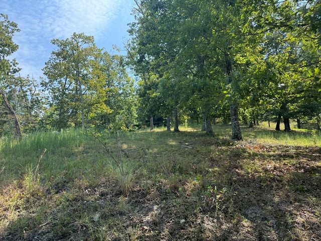 0 Madison Lane, Murphy, NC 28906