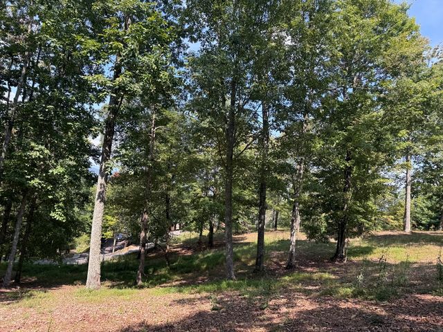 0 Madison Lane, Murphy, NC 28906