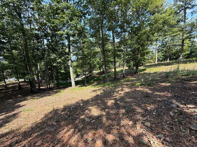 0 Madison Lane, Murphy, NC 28906