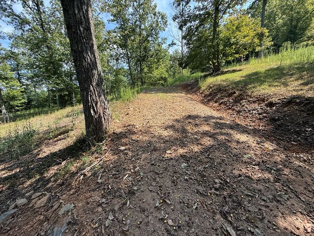 0 Madison Lane, Murphy, NC 28906