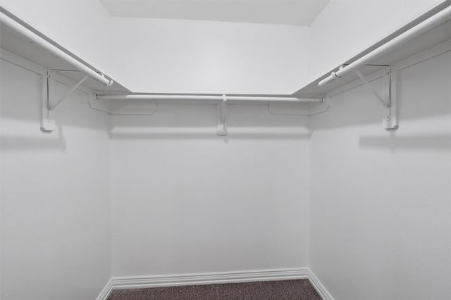 26207 Park Ivy Lane, Katy, TX 77494