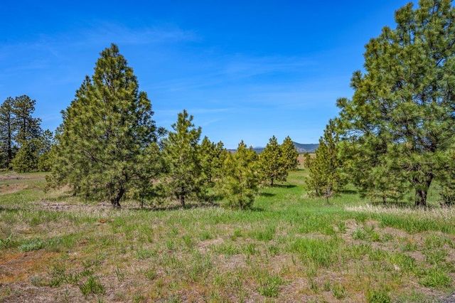 20122 W Johnson Ln, Nine Mile Falls, WA 99026