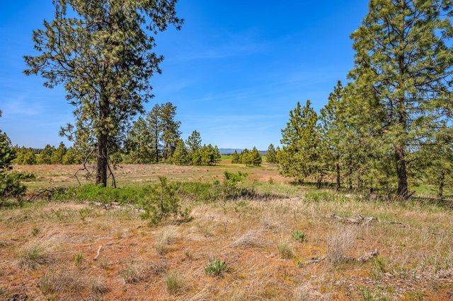 20122 W Johnson Ln, Nine Mile Falls, WA 99026