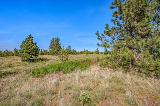 20122 W Johnson Ln, Nine Mile Falls, WA 99026