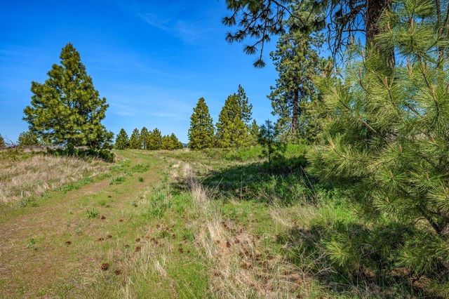 20122 W Johnson Ln, Nine Mile Falls, WA 99026