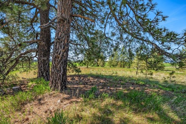 20122 W Johnson Ln, Nine Mile Falls, WA 99026