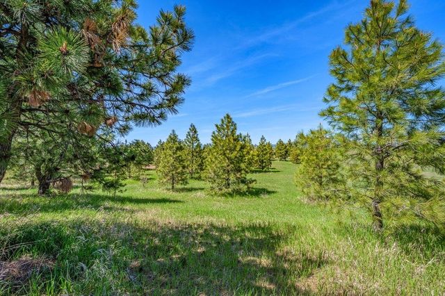 20122 W Johnson Ln, Nine Mile Falls, WA 99026