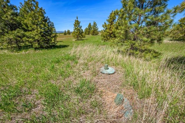 20122 W Johnson Ln, Nine Mile Falls, WA 99026