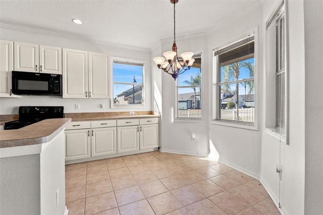 17343 LAWN ORCHID LOOP, Land O Lakes, FL 34638