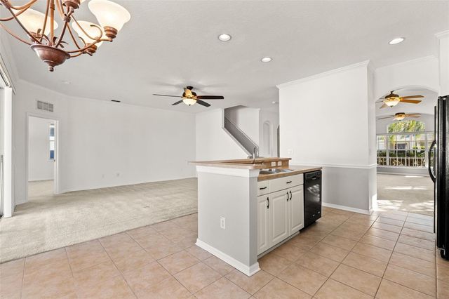 17343 LAWN ORCHID LOOP, Land O Lakes, FL 34638