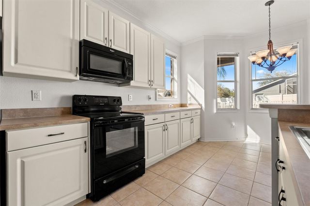 17343 LAWN ORCHID LOOP, Land O Lakes, FL 34638