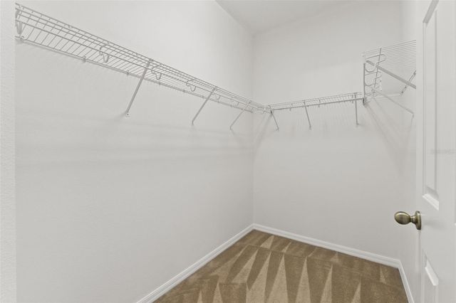 17343 LAWN ORCHID LOOP, Land O Lakes, FL 34638