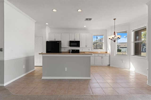 17343 LAWN ORCHID LOOP, Land O Lakes, FL 34638