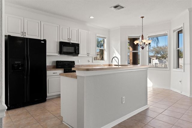 17343 LAWN ORCHID LOOP, Land O Lakes, FL 34638