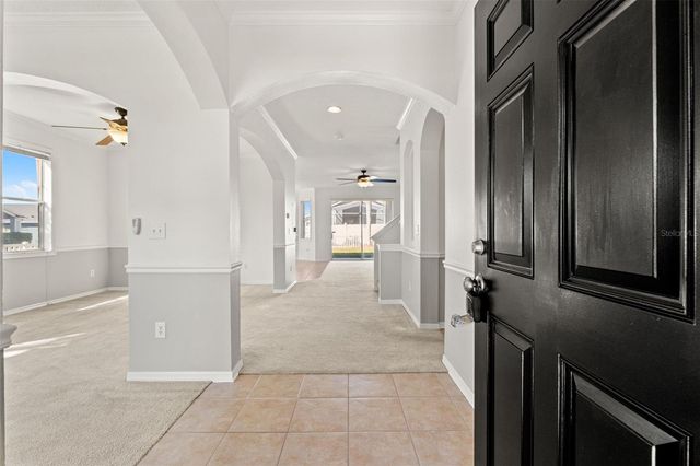 17343 LAWN ORCHID LOOP, Land O Lakes, FL 34638