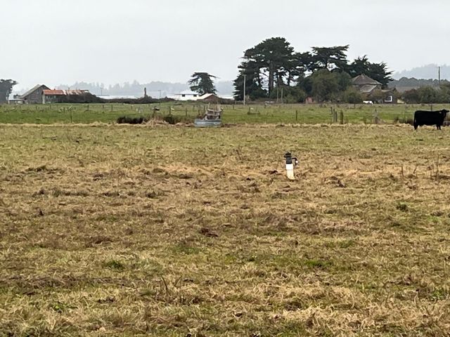 1127 Moxon Lane, Arcata, CA 95521