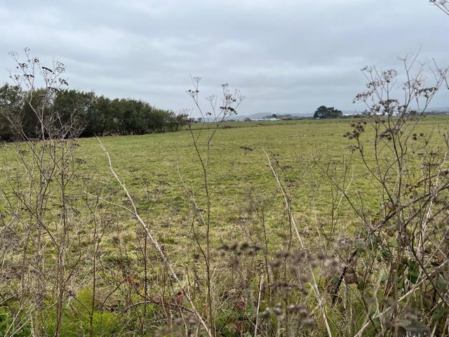 1127 Moxon Lane, Arcata, CA 95521