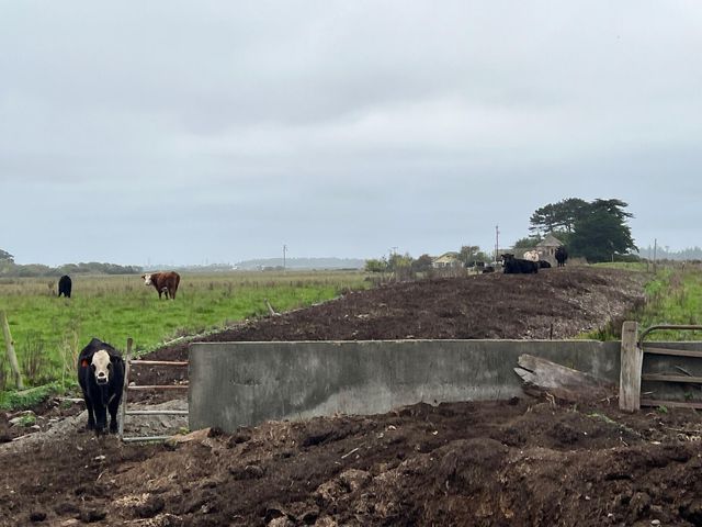 1127 Moxon Lane, Arcata, CA 95521