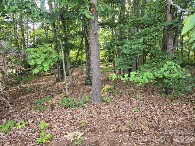 1236 Smithfield Drive, Hudson, NC 28638