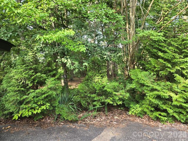1236 Smithfield Drive, Hudson, NC 28638