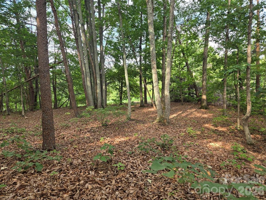 1236 Smithfield Drive, Hudson, NC 28638